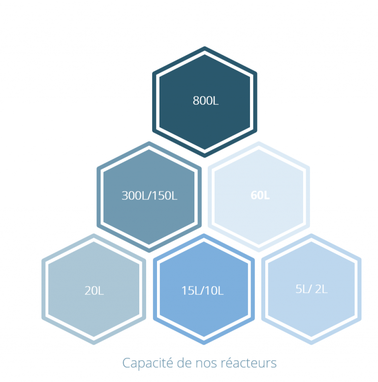 Production capacity of PolymerExpert